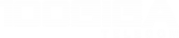 100GIGA Telecom